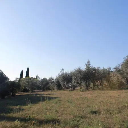 Immersa Nel Tra E Assisi * Spello
