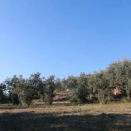 Immersa Nel Tra E Assisi * Spello