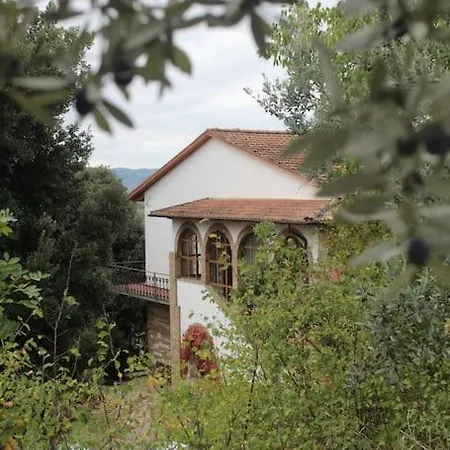 Immersa Nel Tra E Assisi Spello