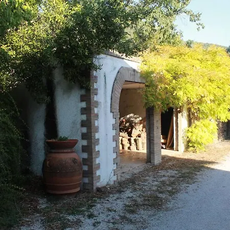 Immersa Nel Tra E Assisi Guest house Spello