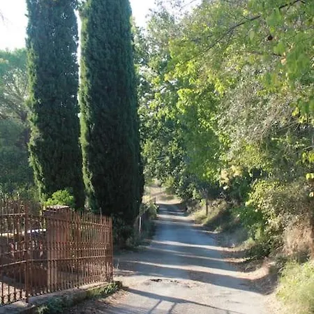 Immersa Nel Tra E Assisi Guest house Spello