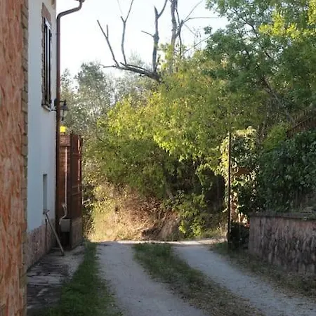Immersa Nel Tra E Assisi *